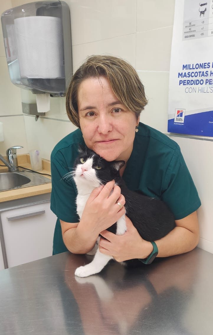 clinica veterinaria carabanchel