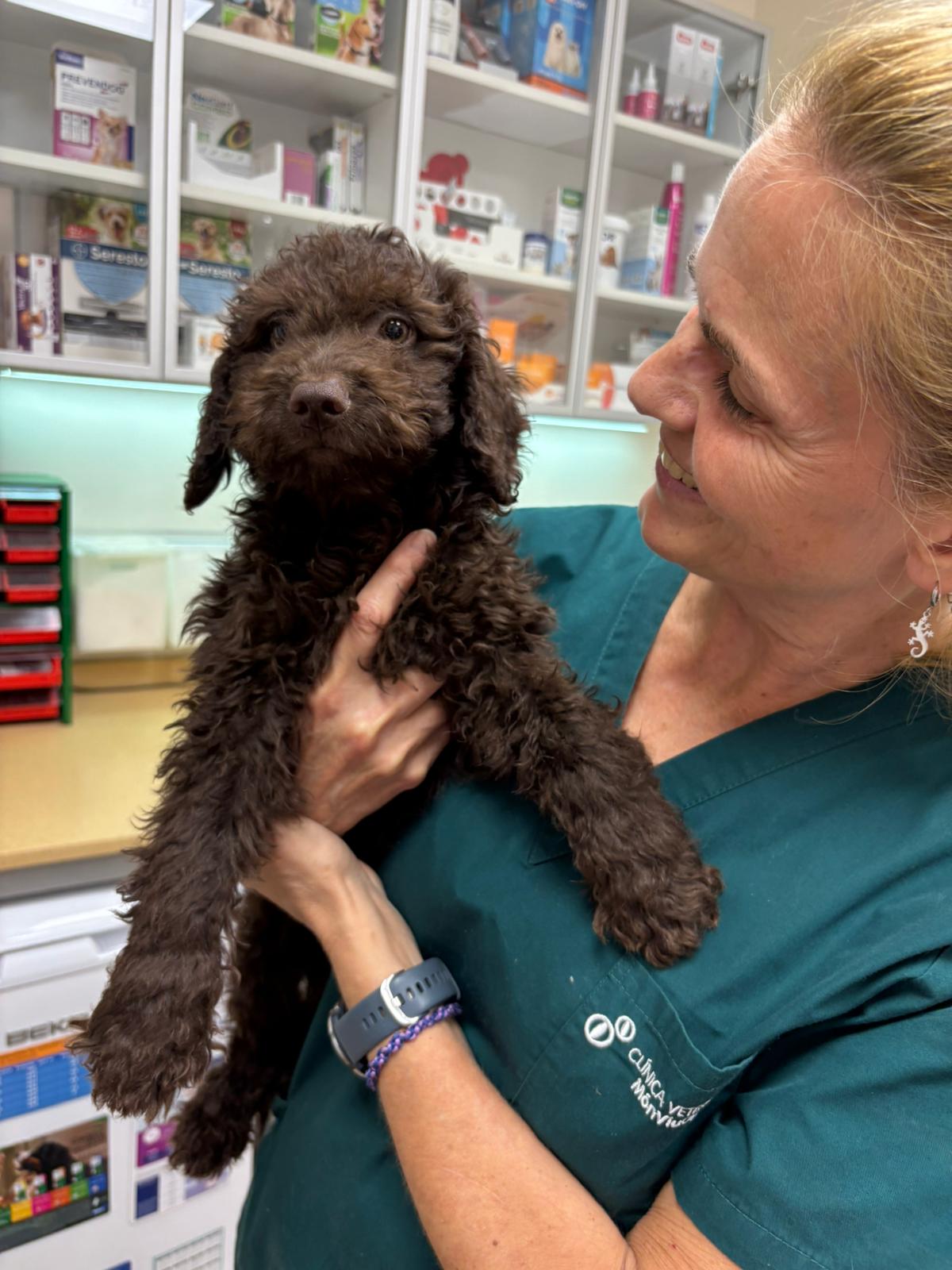 clinica veterinaria carabanchel